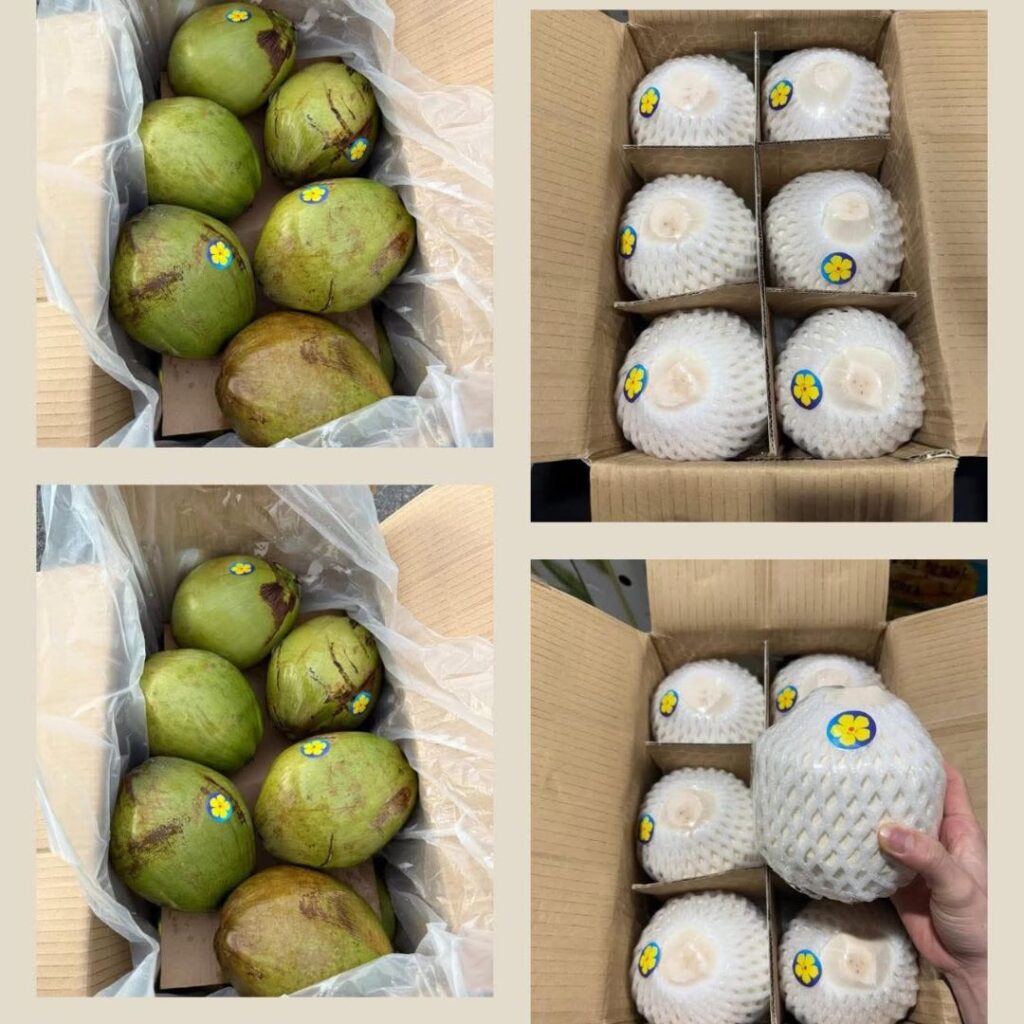 Coconut