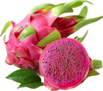 Dragon Fruit