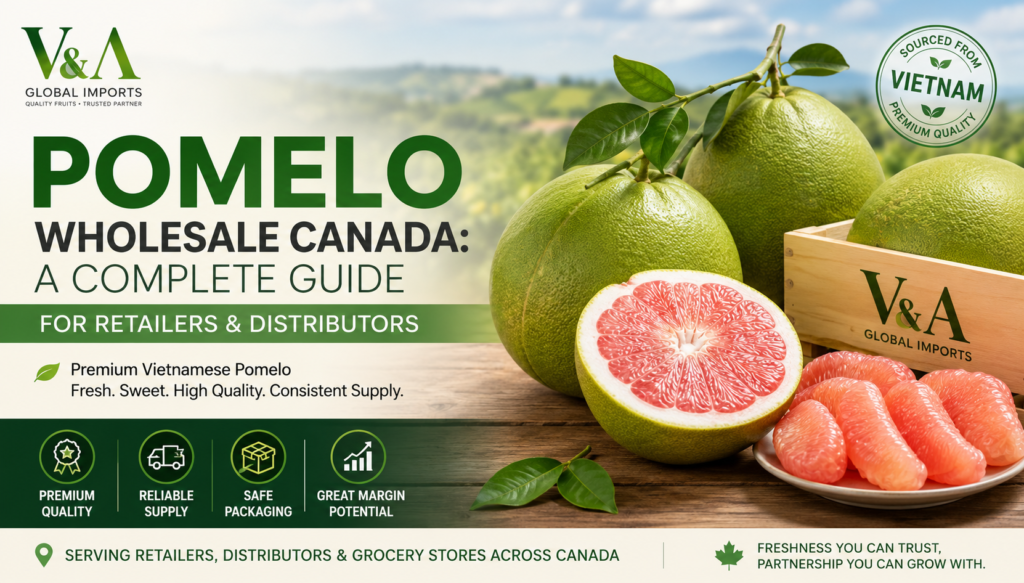 Pomelo Wholesale Canada: A Complete Guide for Retailers and Distributors