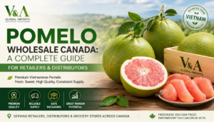 Pomelo Wholesale Canada: A Complete Guide for Retailers and Distributors